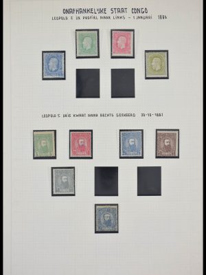 Stamp collection 28328 Belgisch Congo 1886-1971.