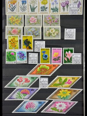 Stamp collection 29462 Flowers.