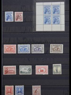 Stamp collection 30320 Australia.