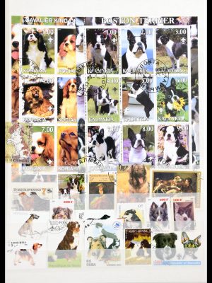 Stamp collection 30501 Dogs