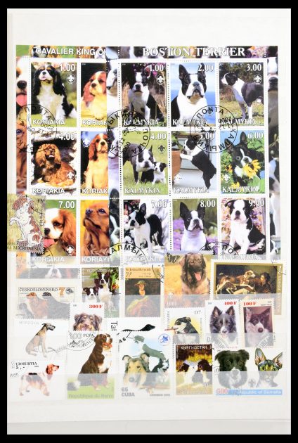 Stamp collection 30501 Dogs