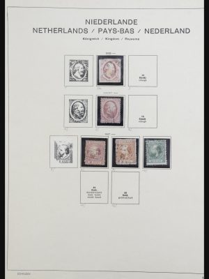 Stamp collection 31991 Netherlands 1852-1966.