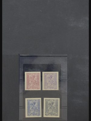 Stamp collection 31999 Yugoslavia 1918-1919.