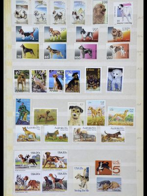 34410 Theme Dogs 1965-2011.