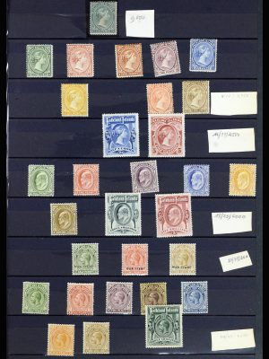 37065 Falkland Islands 1878-2006.