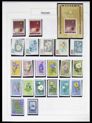 38594 Thematic collection Flowers until 2013.